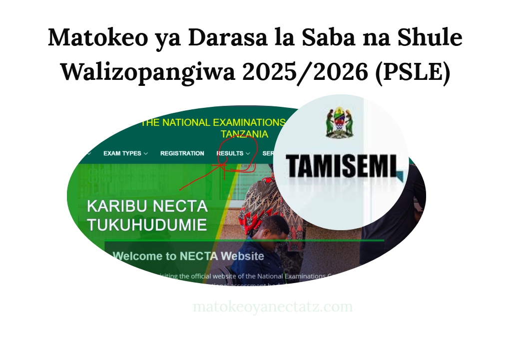 Matokeo ya Darasa la Saba na Shule Walizopangiwa