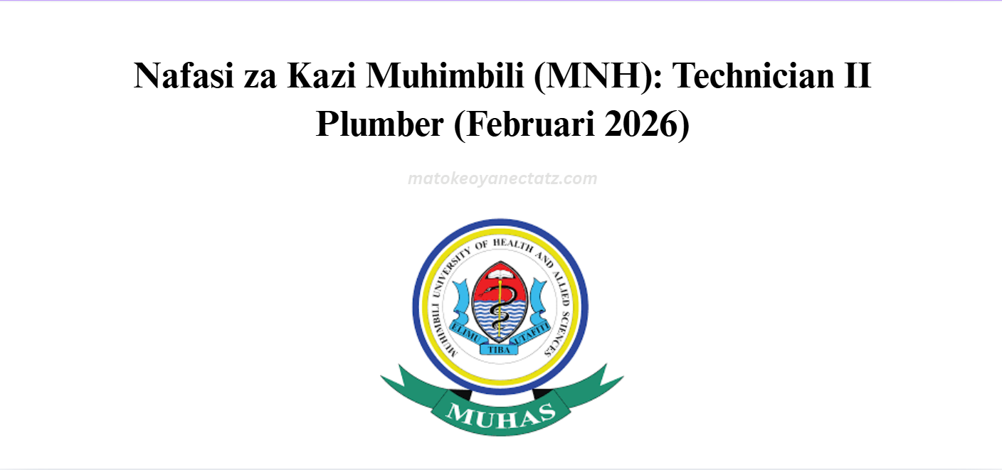 Nafasi za Kazi Muhimbili (MNH): Technician II Plumber