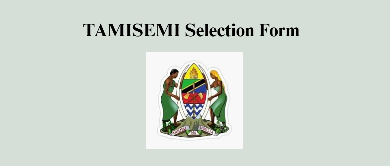 TAMISEMI Selection Form