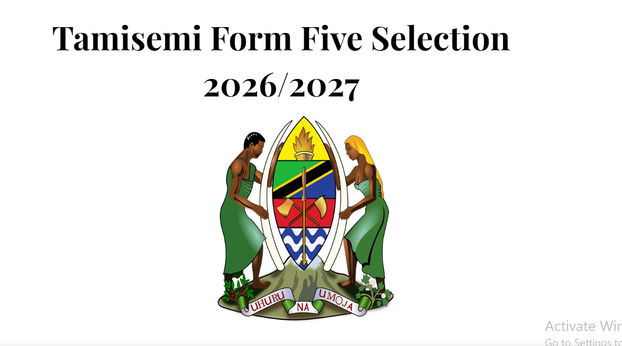 Tamisemi Form Five Selection
